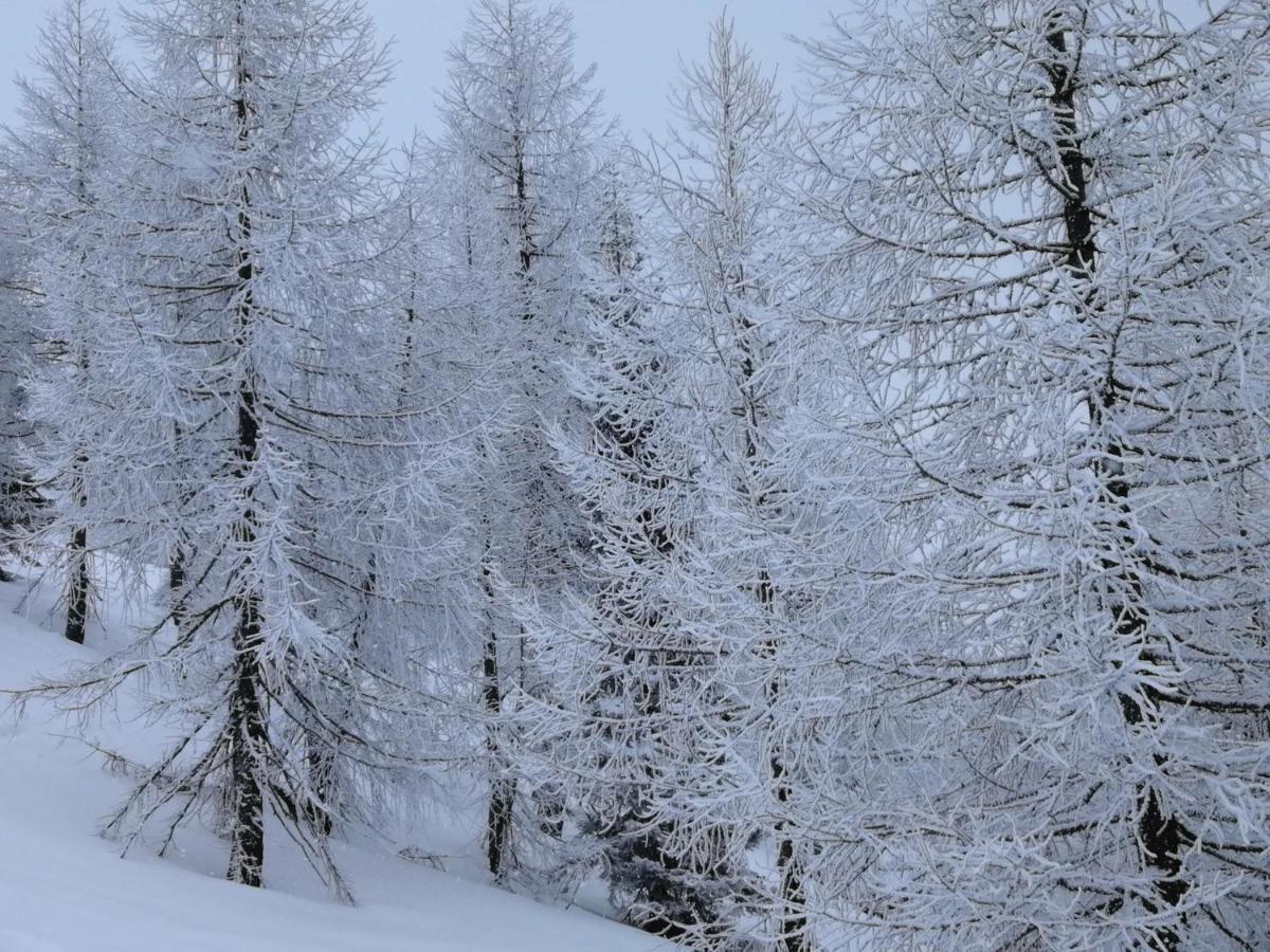 Hotel Dolomiti レーヴィコ・テルメ エクステリア 写真